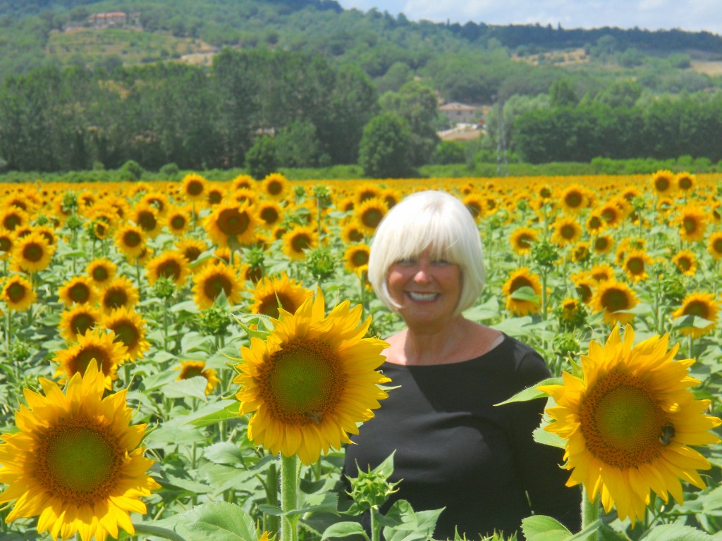 подсолнухи в контровом свете. подсолнухи в свете. левитан подсолнухи. подсолнух работы. поле подсолнечника.